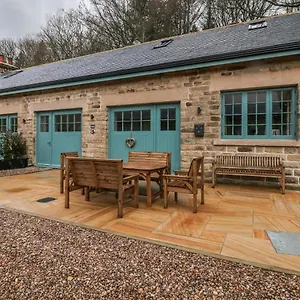 Chestnut Sheffield